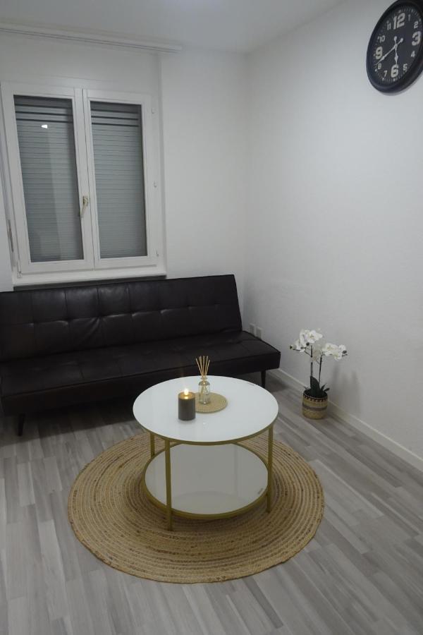 Aare Studio 1 Apartment อินเทอร์ลาเคน ภายนอก รูปภาพ